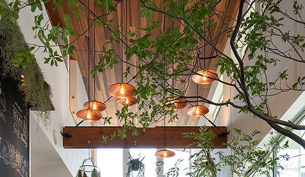 木に囲まれた空間で暮らす心地よい住まい