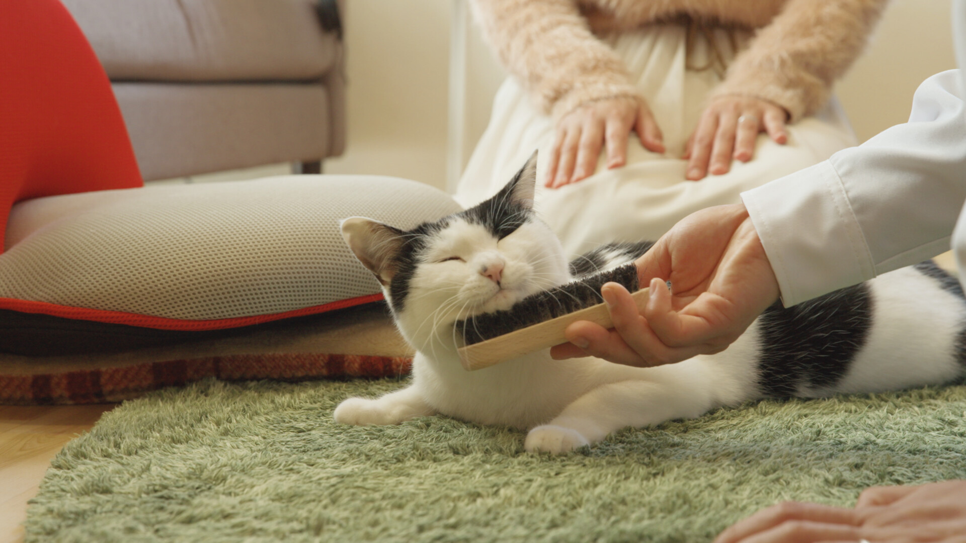 人と猫が快適に暮らせる家