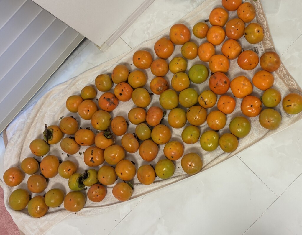 新展示場がオープンしました！