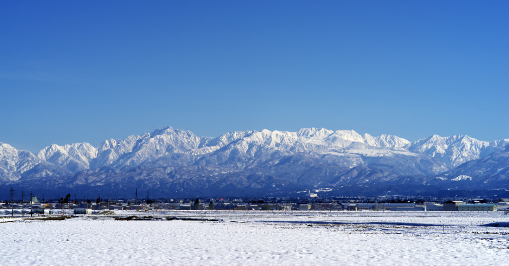 新展示場がオープンしました！