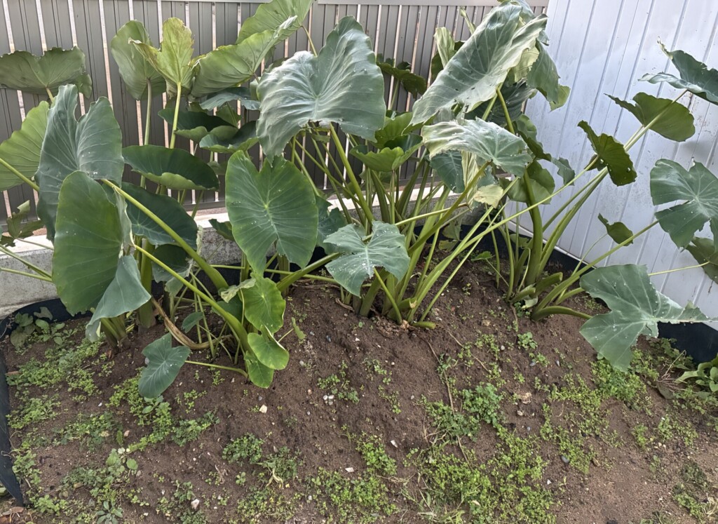 休日の過ごし方　part24