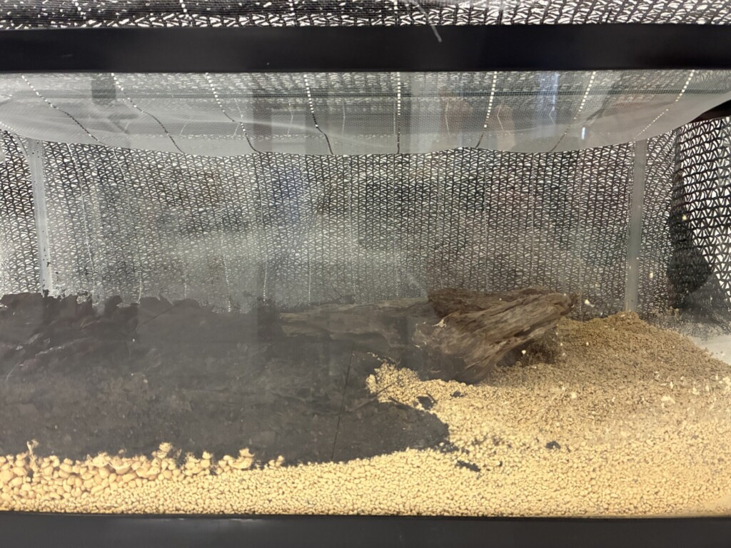 新展示場がオープンしました！