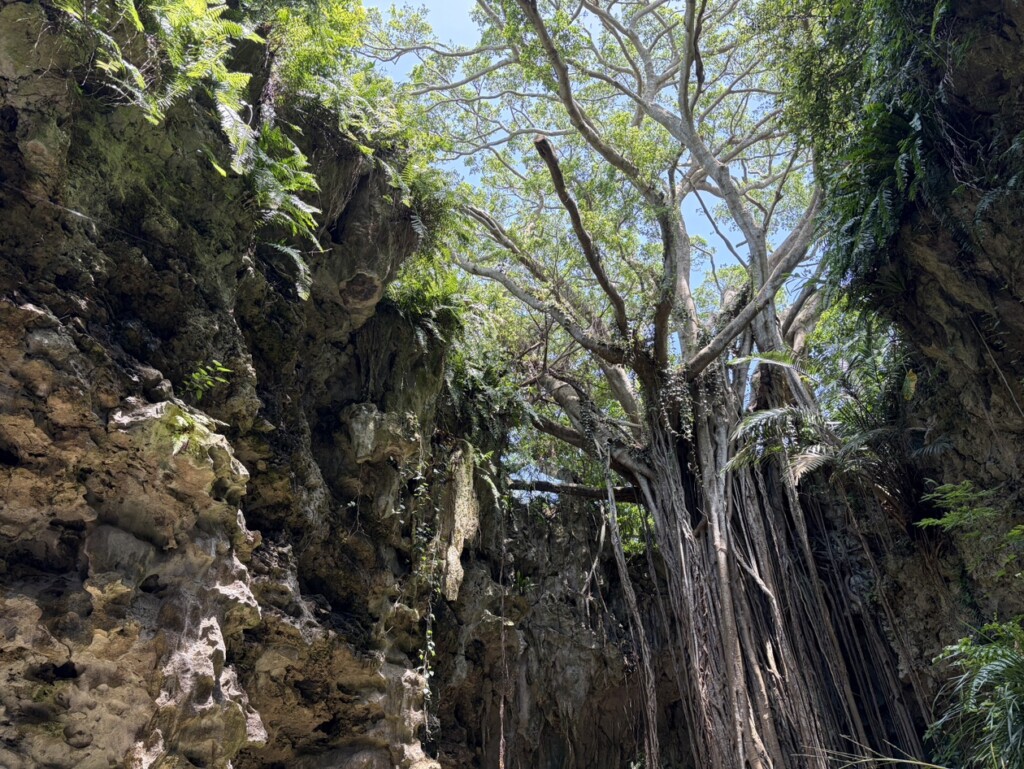 沖縄へ