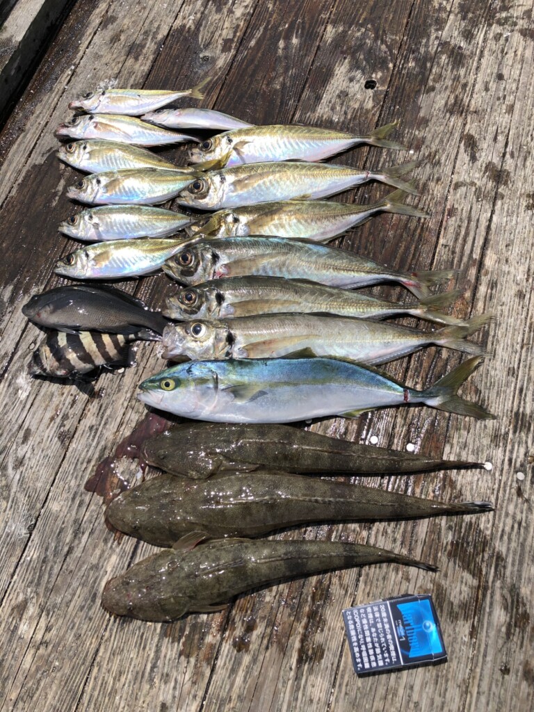 今回も大漁で釣ったのは・・・
