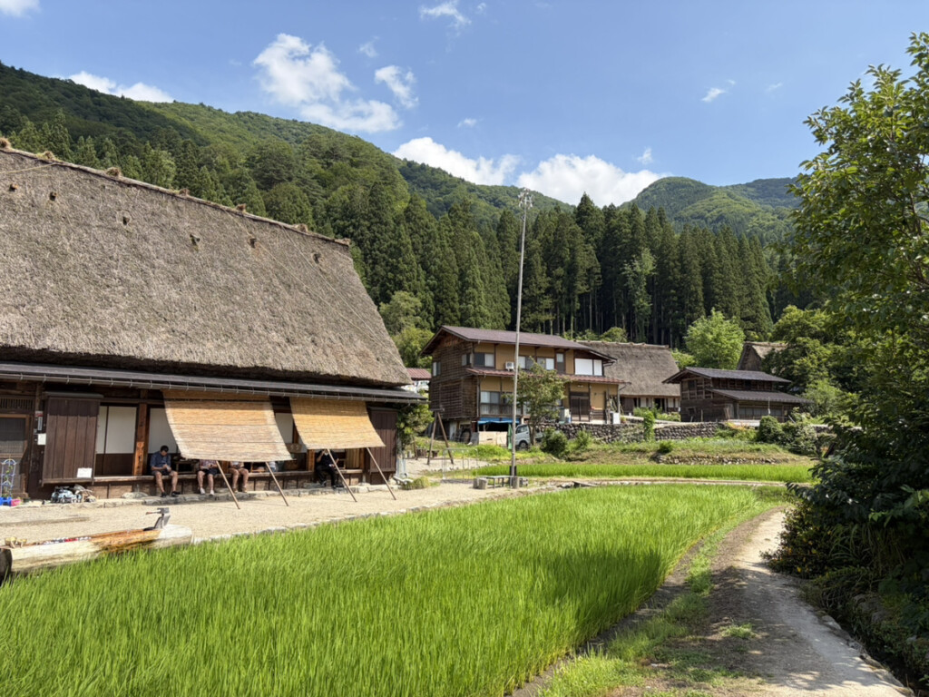 白川郷に行ってきました！